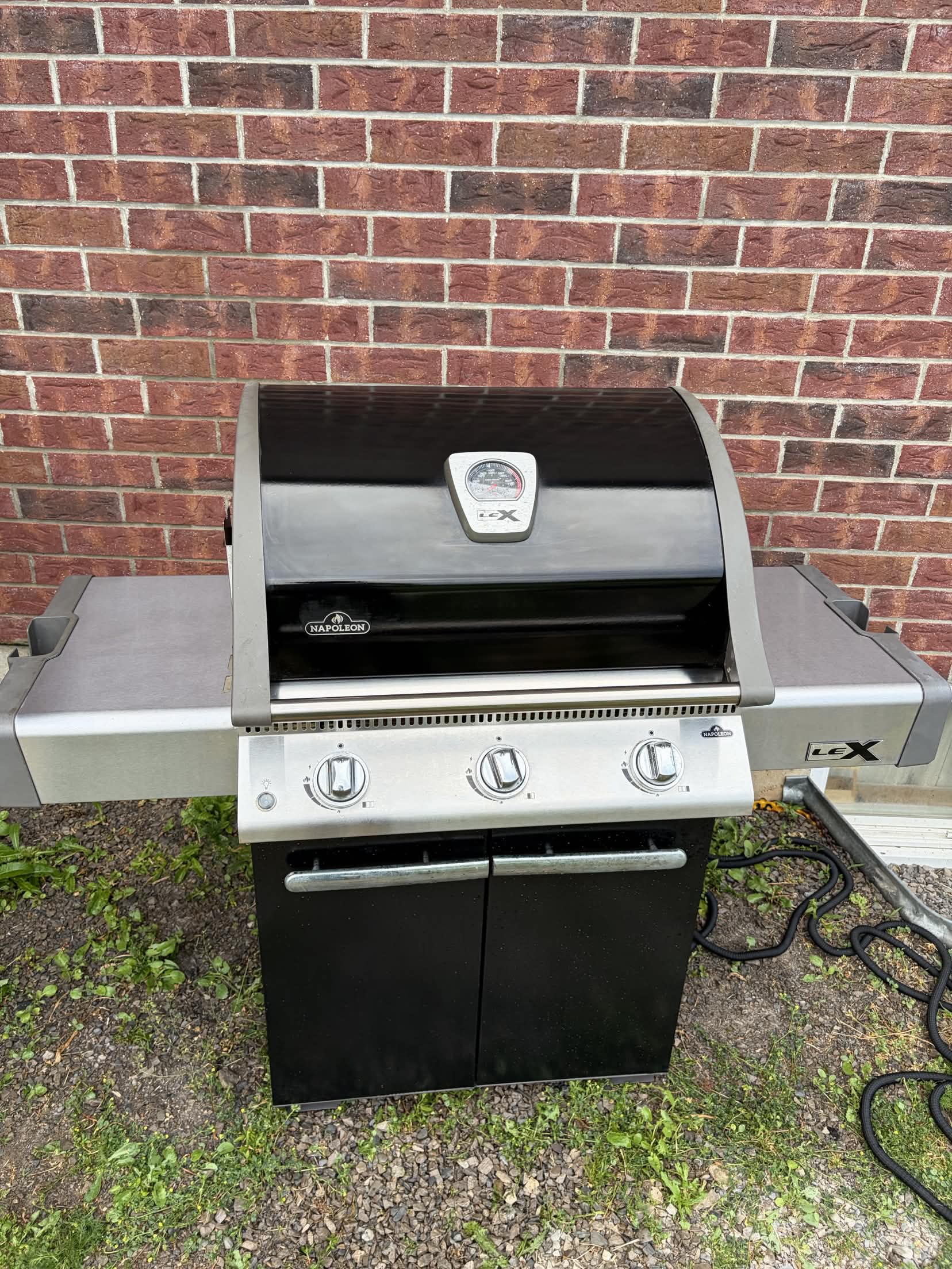 Smokies grill cleaning job - photo 4