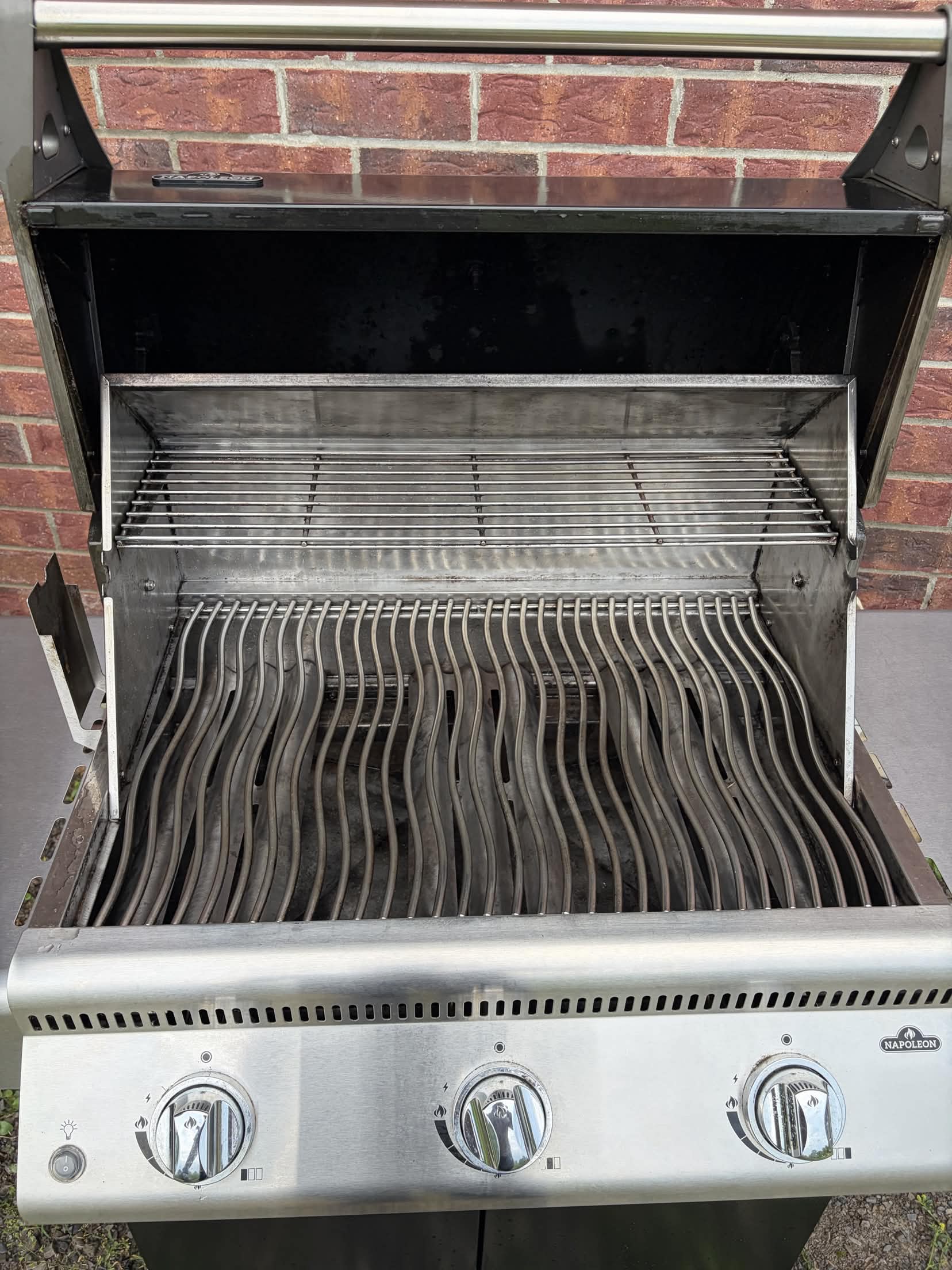 Smokies grill cleaning job - photo 5